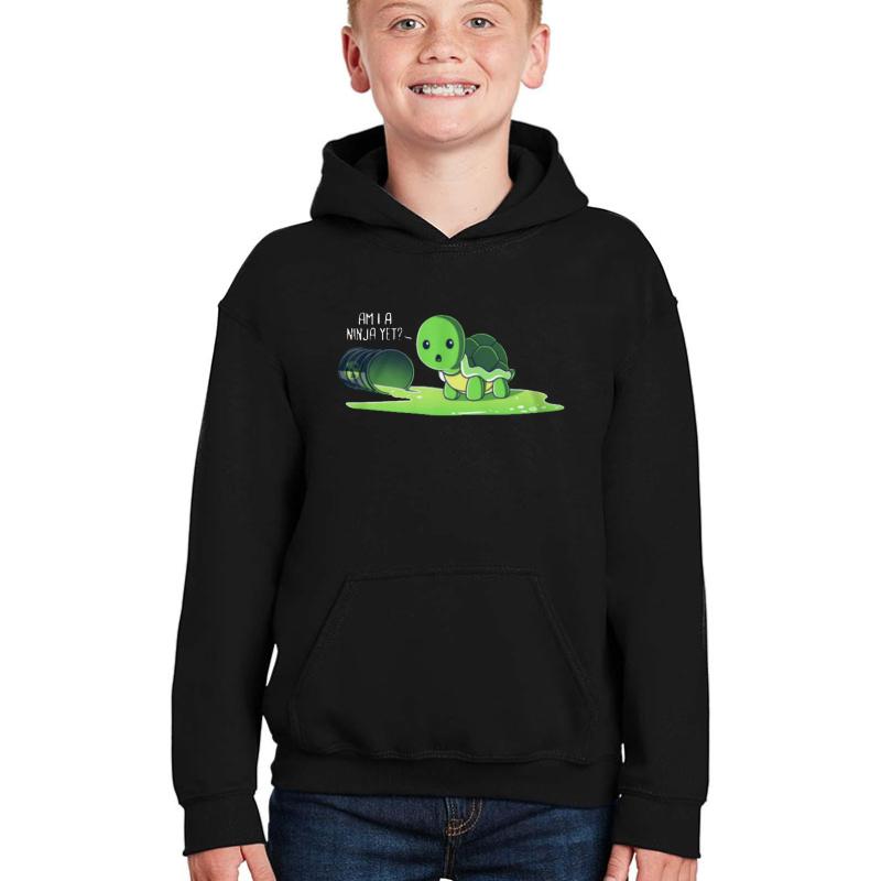 Turtle - Am I A Ninja Yet? Youth Hooded Sweatshirt Boy Black