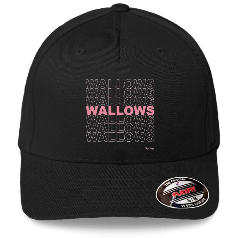 Wallows Spring Flexfit Baseball Cap  Black