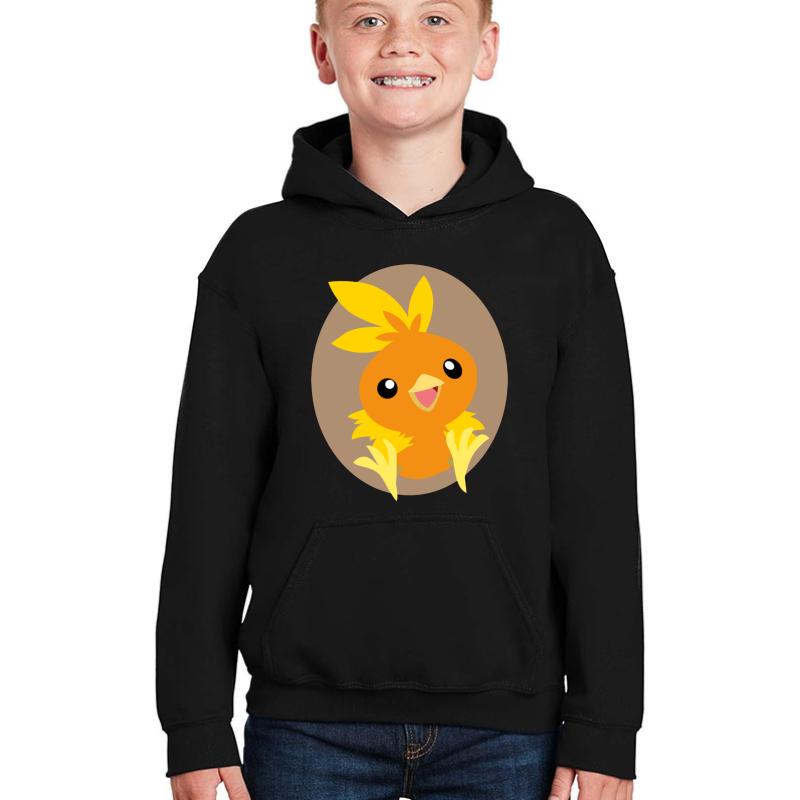 Torchic - 3Rd Gen Youth Hooded Sweatshirt Boy Black