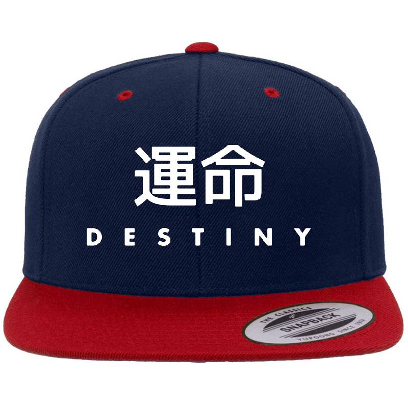 Destiny - Unmei Unisex V-Neck T-Shirts