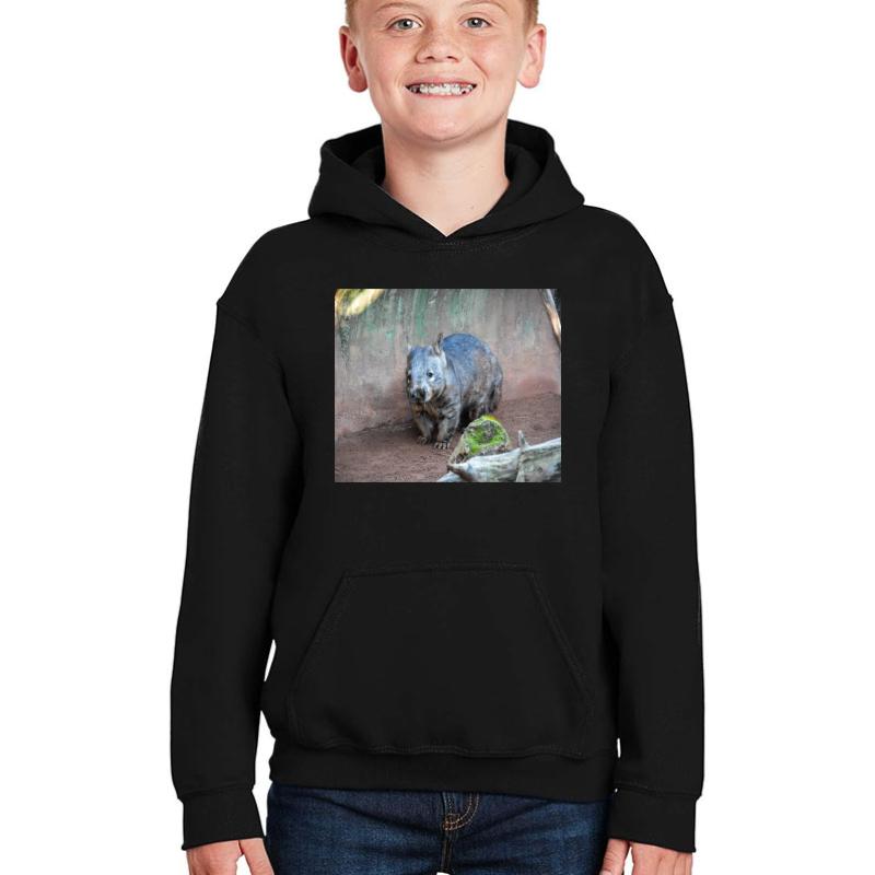 Wombat Youth Hooded Sweatshirt Boy Black