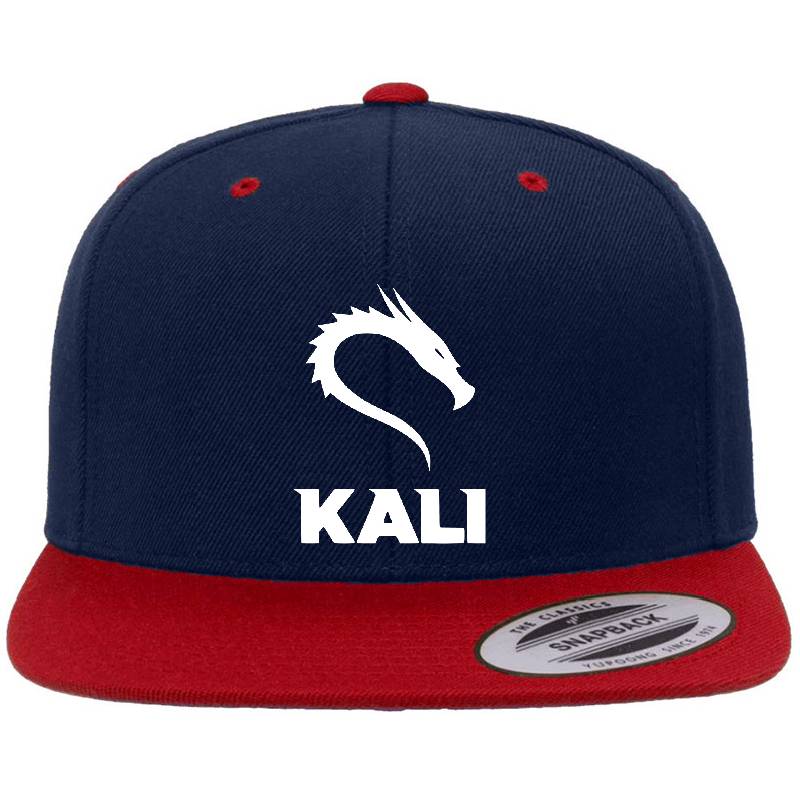 Kali Linux Cyber Security Hacking Fun  Women Underwear Panties