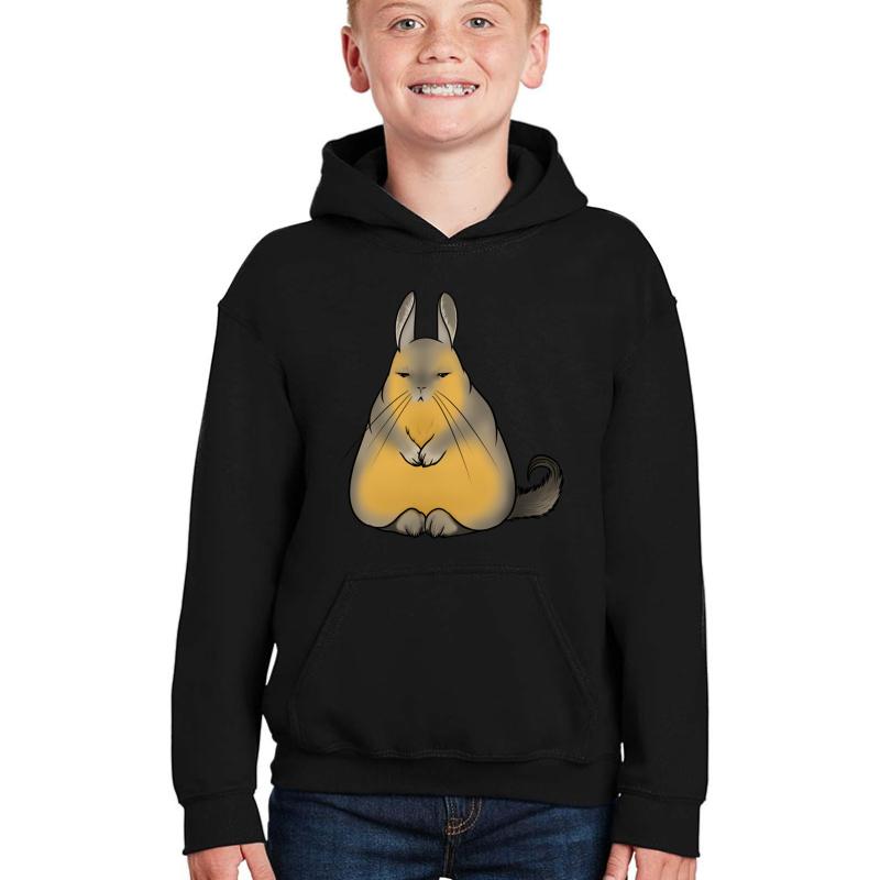 Viscacha Sage Youth Hooded Sweatshirt Boy Black