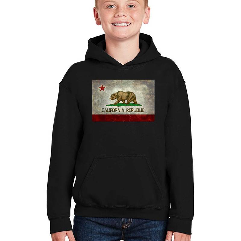 California Republic state flag - Vintage retro version Premium Flat Bill Snapback Caps