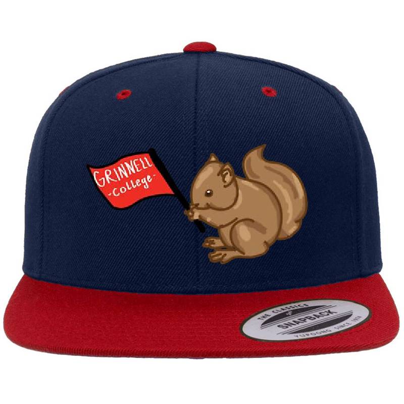 grinnell college squirrel w flag emblem Unisex V-Neck T-Shirts