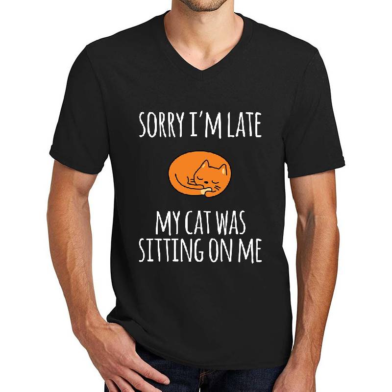 Sorry I Can't My Cat Was Sitting On Me Youth Hooded Sweatshirts