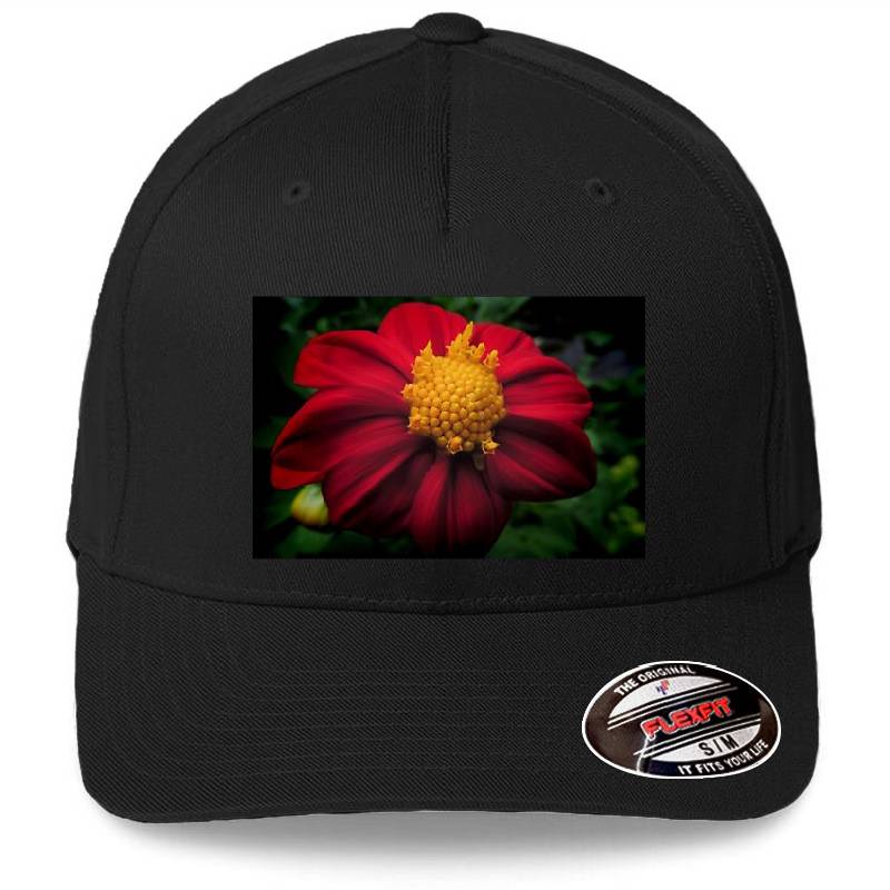 Dahlia 'Bishop of Auckland'  Richardson Premium Trucker Snapback Caps