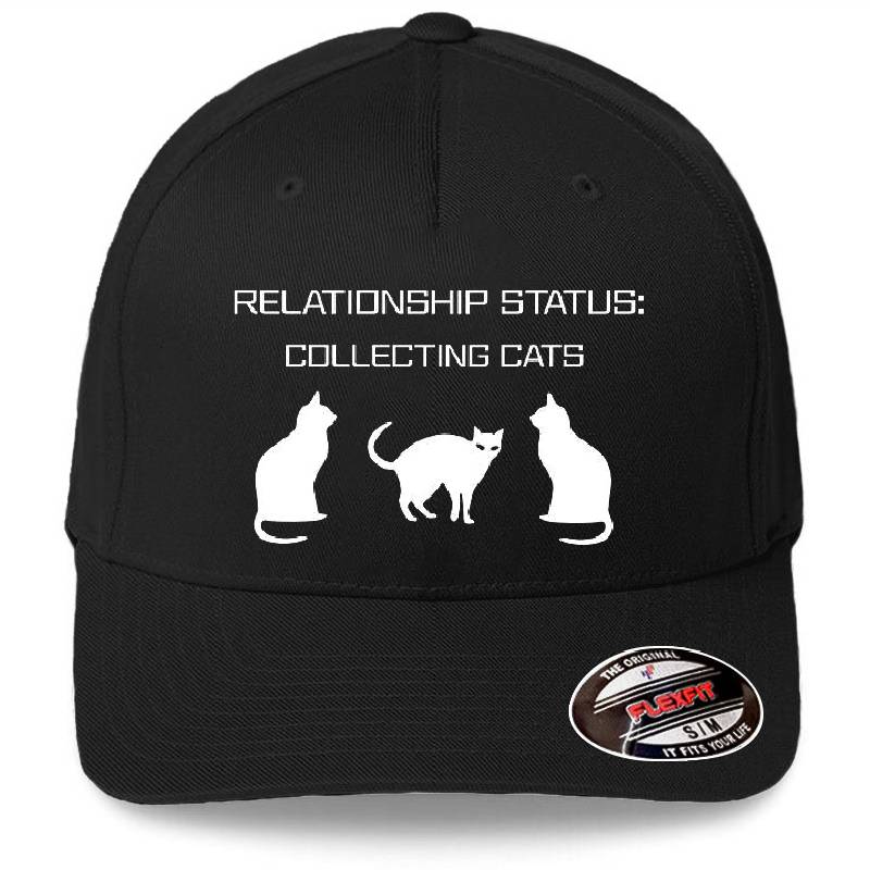 Relationship Status: Collecting Cats Youth T-Shirts
