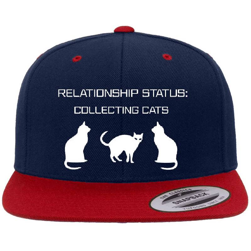 Relationship Status: Collecting Cats Youth T-Shirts