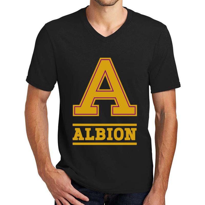 Albion College Unisex V-Neck T-Shirt Men Black