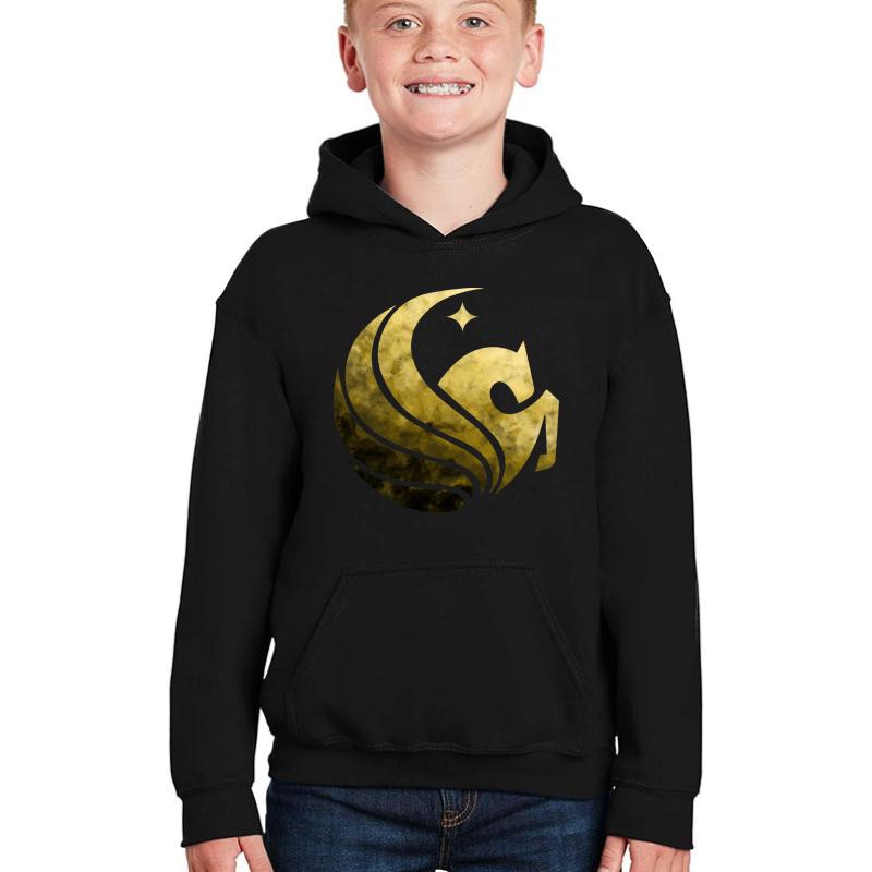 Ucf Knights Pegasus Youth Hooded Sweatshirt Boy Black