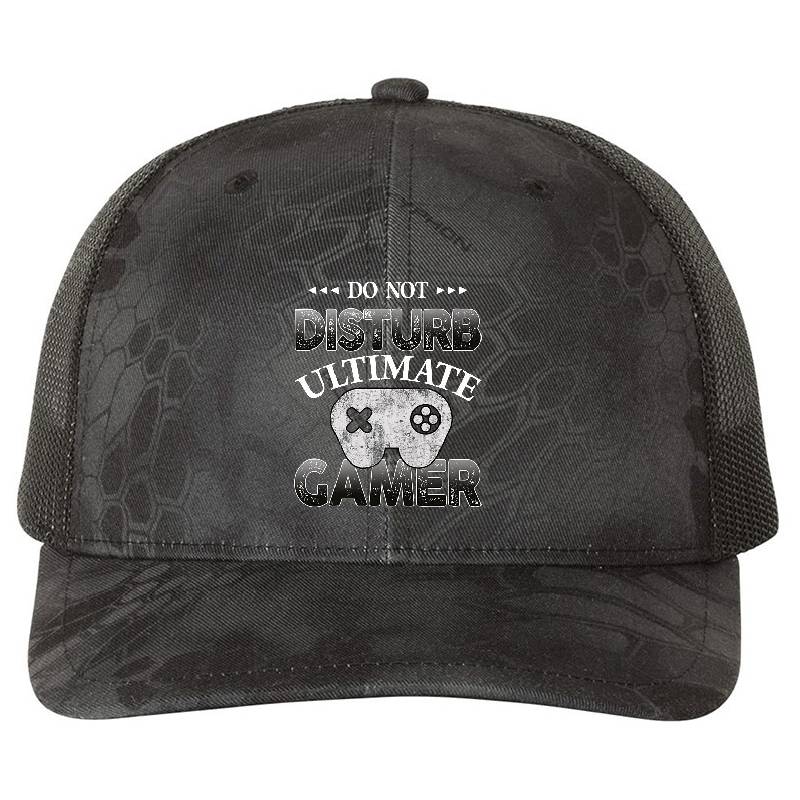 Do Not Disturb Ultimate Gamer Youth Hooded Sweatshirts