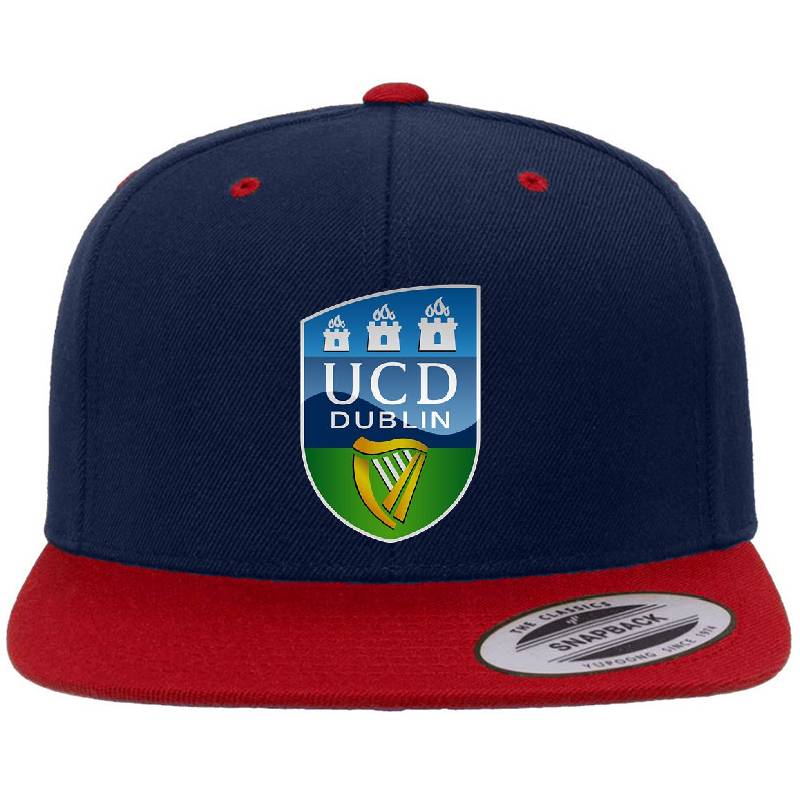 UCD Logo Unisex Hooded Sweatshirts