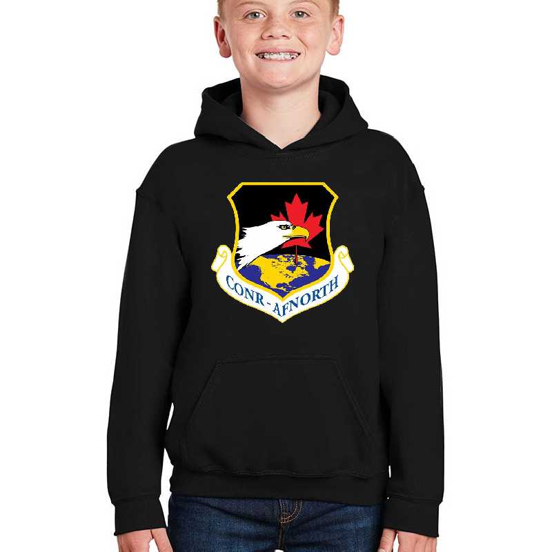 NORAD Continental US  1st Air Force Emblem Unisex T-shirts