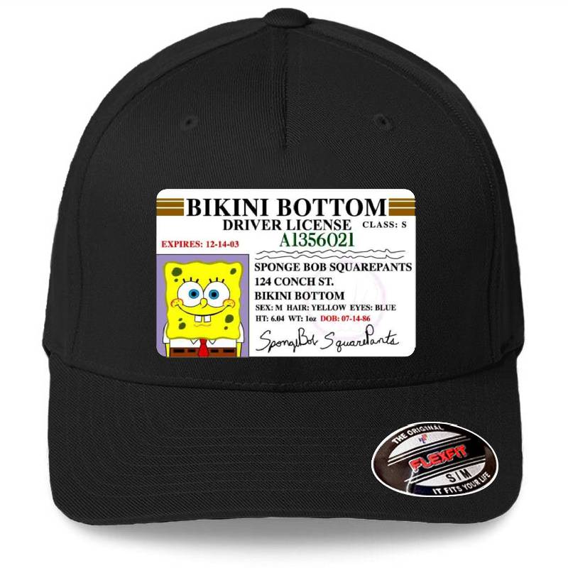 Spongebob Bikini Bottom Driver's License Women Underwear Panties
