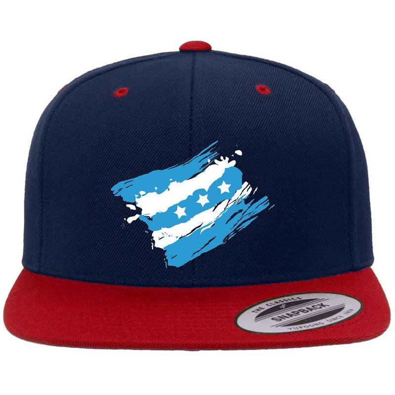 Guayaquil flag Women Underwear Panties