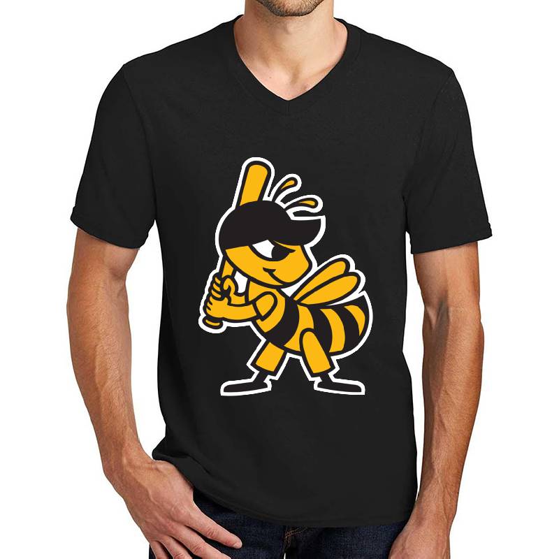 Salt Lake Bees Premium Flat Bill Snapback Caps