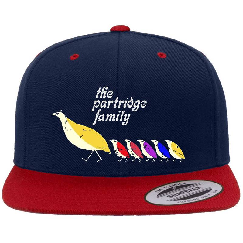 The Partridge Family Youth T-Shirts