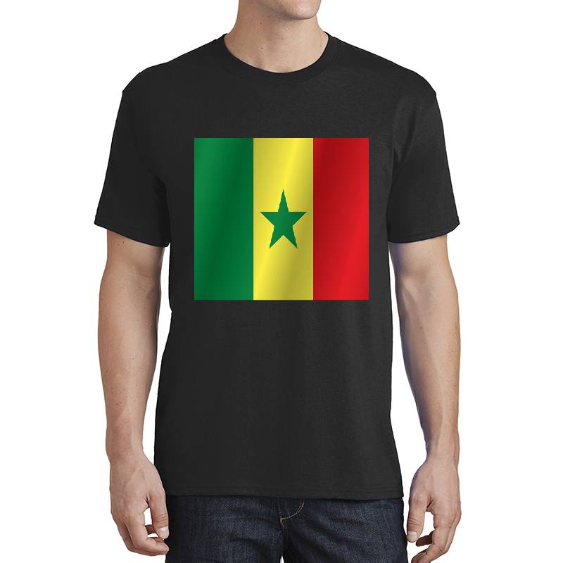 Senegal flag Richardson Premium Trucker Snapback Caps