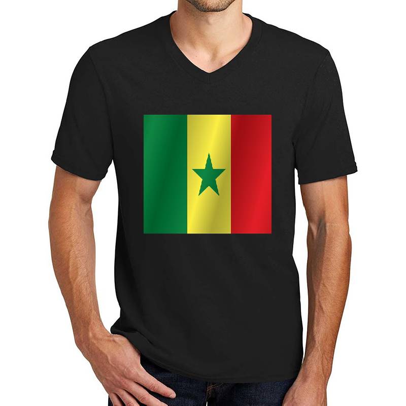 Senegal flag Richardson Premium Trucker Snapback Caps