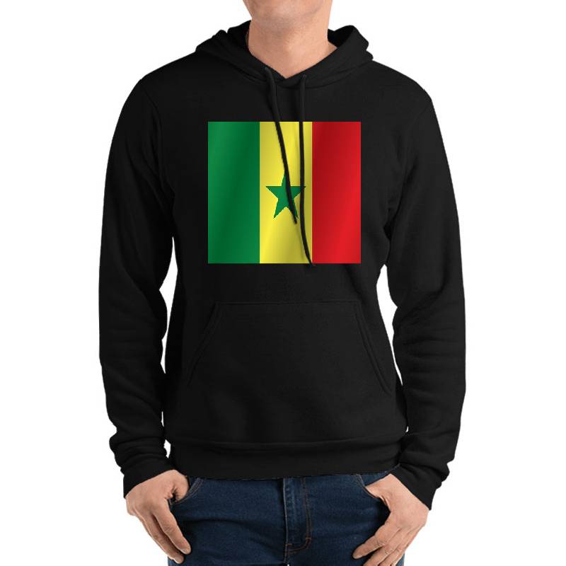 Senegal flag Richardson Premium Trucker Snapback Caps