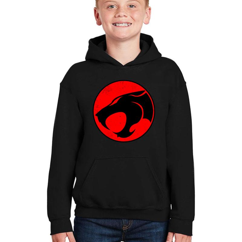 Thundercat Classic Youth Hooded Sweatshirt Boy Black