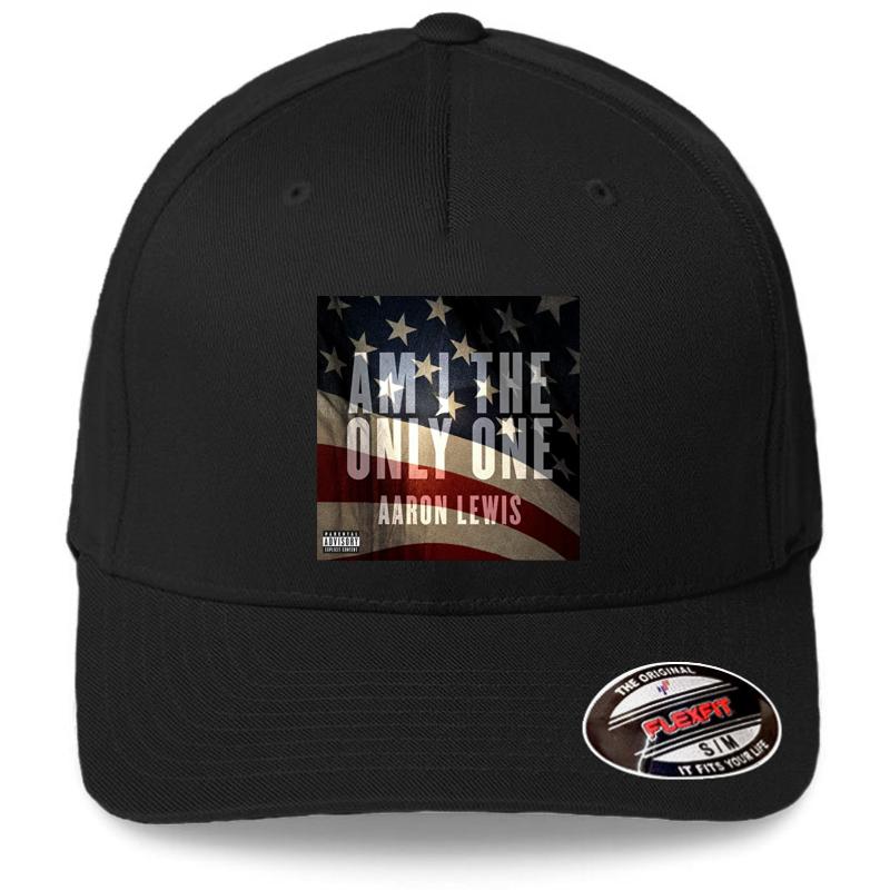 Am I The Only One Aaron Lewis Flag Usa Thank You For Your Service Flexfit Baseball Cap  Black