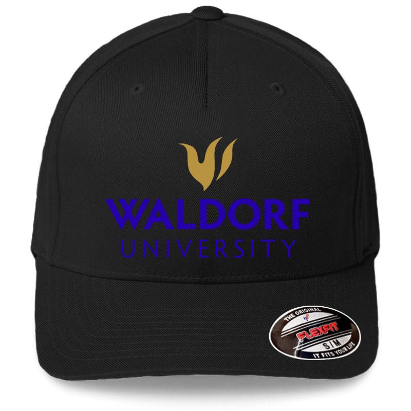 Waldorf College Flexfit Baseball Cap  Black