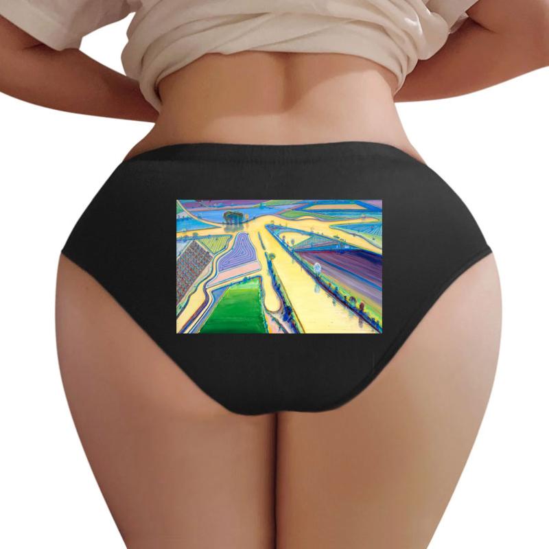 Wayne Thiebaud Delta Water  Women Underwear Panties Women Black