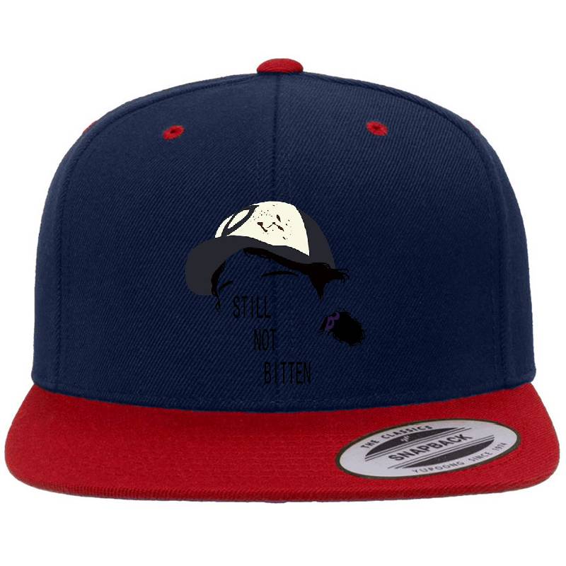 Premium Flat Bill Snapback Caps
