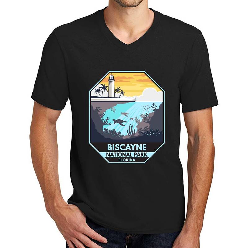 Unisex V-Neck T-Shirts