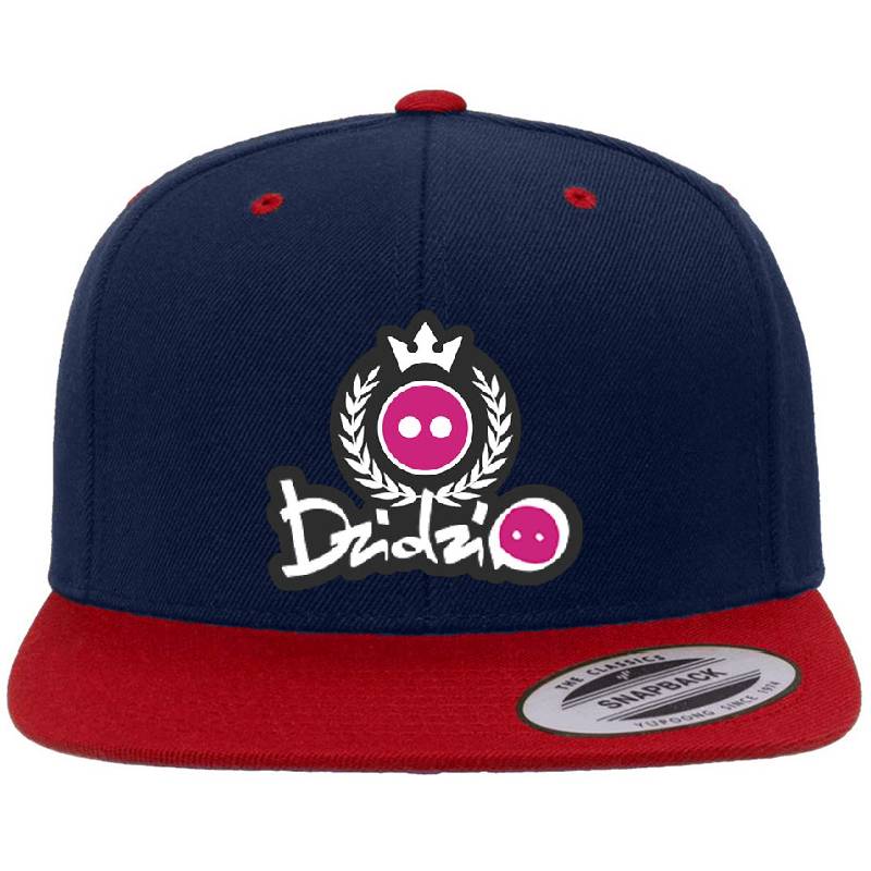 DZIDZIO Emblem and Logo Youth Hooded Sweatshirts