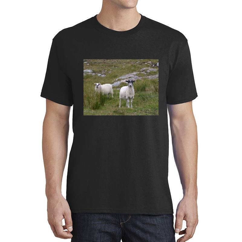 Harris Sheep Premium Flat Bill Snapback Caps