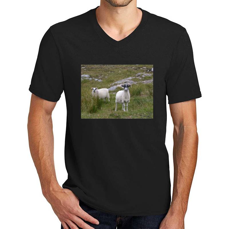 Harris Sheep Premium Flat Bill Snapback Caps