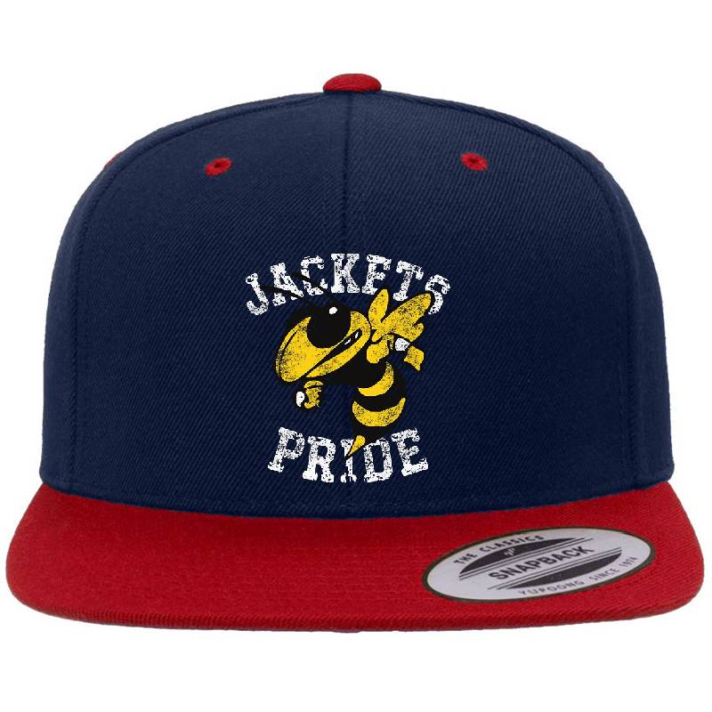 Jackets Pride Sports Fan School Spirit Unisex V-Neck T-Shirts