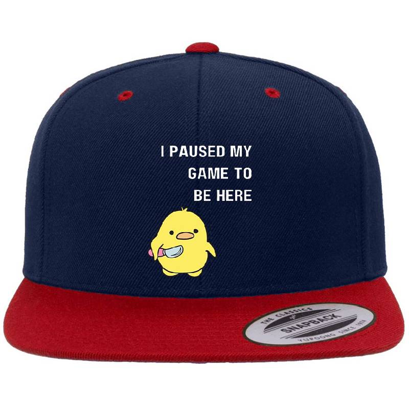 I paused my Game Duck  Richardson Premium Trucker Snapback Caps