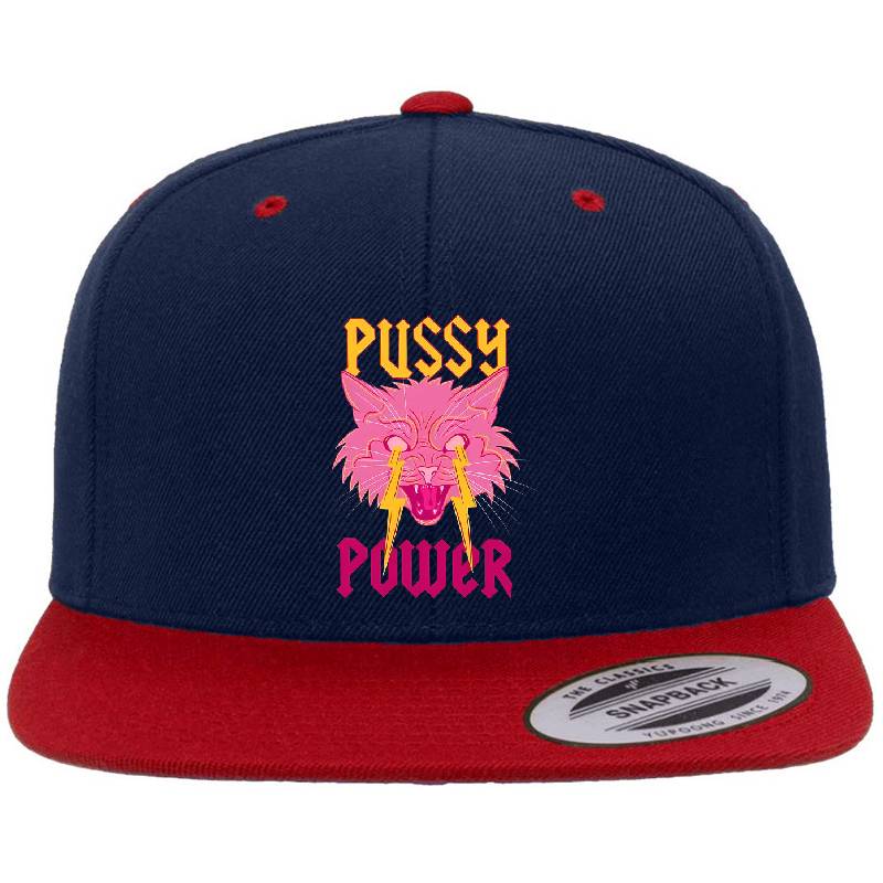 Pussy Power Funny Cat Youth T-Shirts
