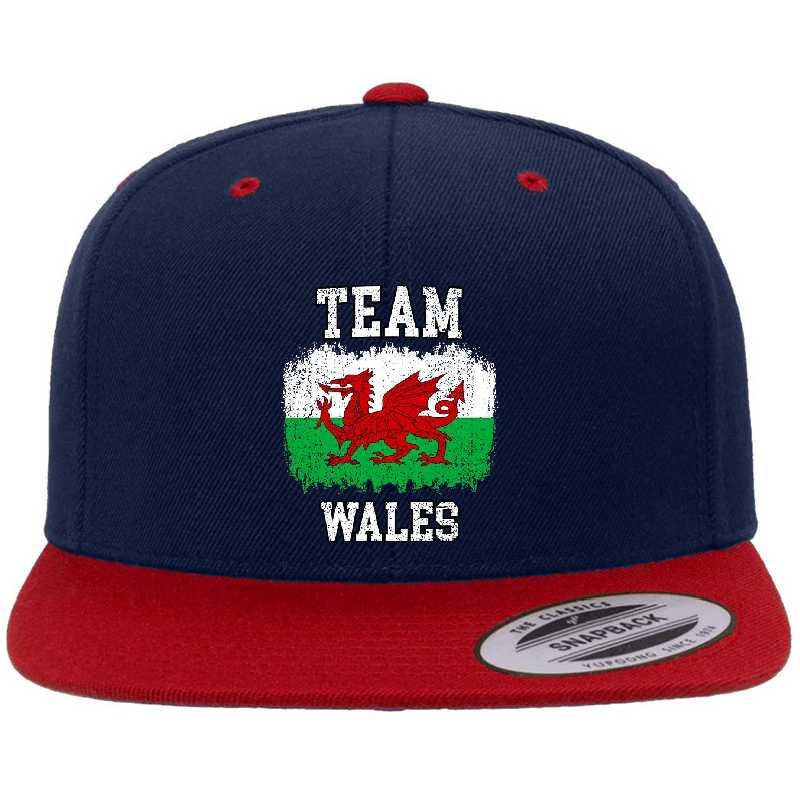 SOCCER TEAMS - WALES | SUPPORT TEAMS 2024 | SPORTS AND COUNTRY DESIGNS for Men and Women t-shirt Unisex T-shirts