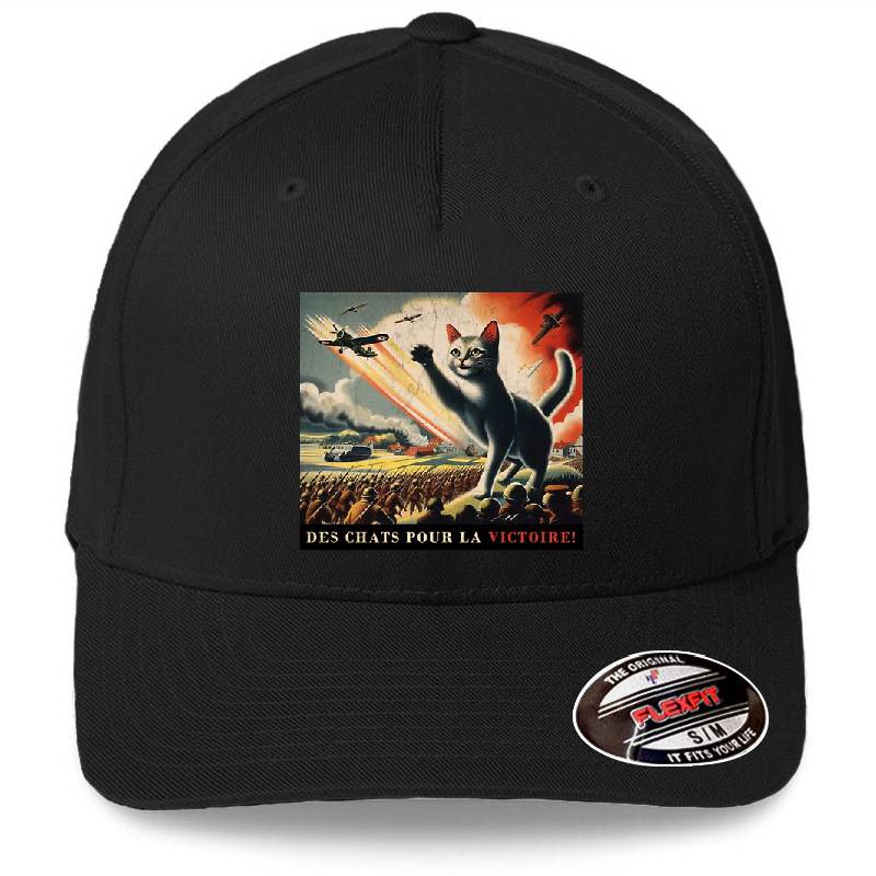 history cats 4 Youth Hooded Sweatshirts