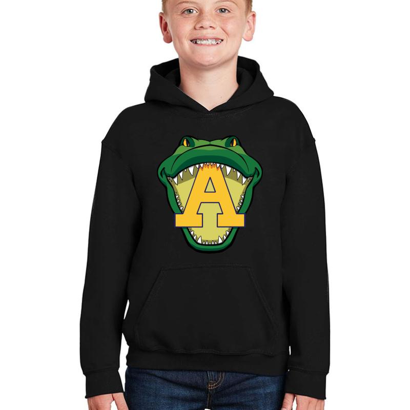 Allegheny College Youth Hooded Sweatshirt Boy Black