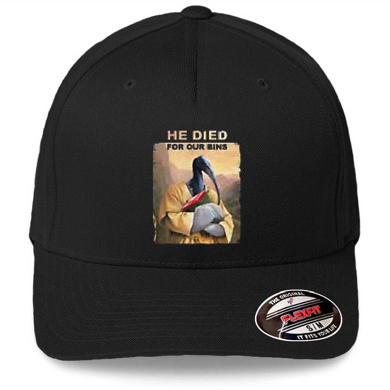 He died for our bins Premium Flat Bill Snapback Caps