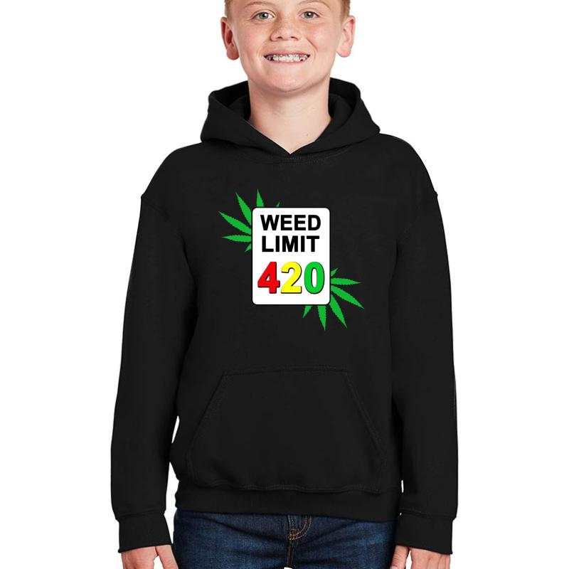 Weed Limit 420 Sign Youth Hooded Sweatshirt Boy Black