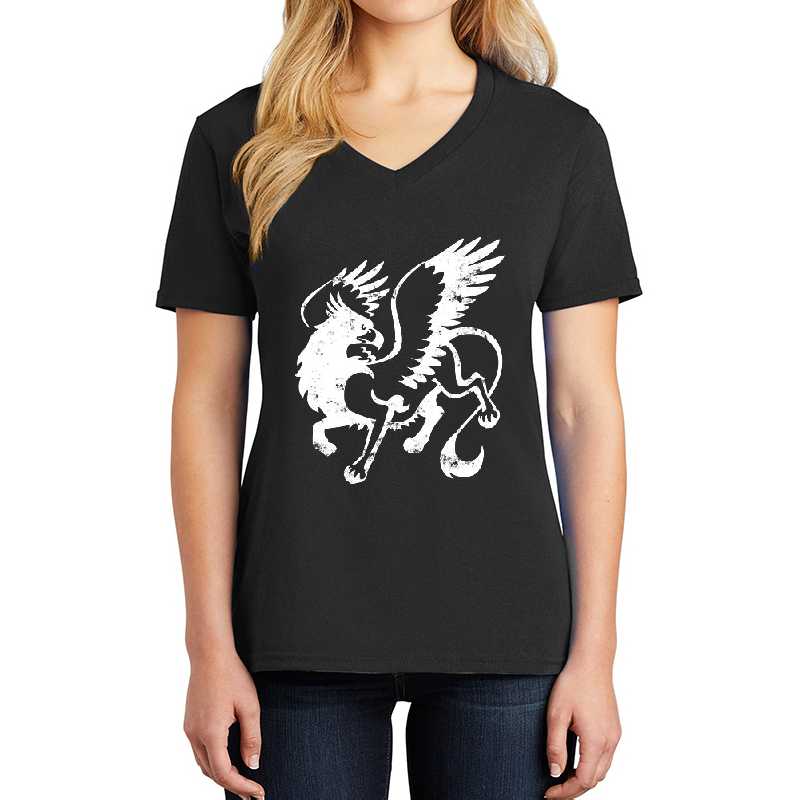 Unisex V-Neck T-Shirts