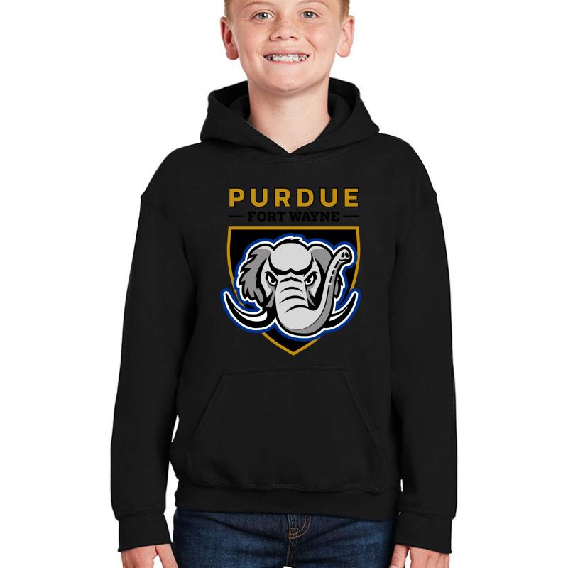 The Purdue Fort Wayne Mastodons Youth Hooded Sweatshirt Boy Black